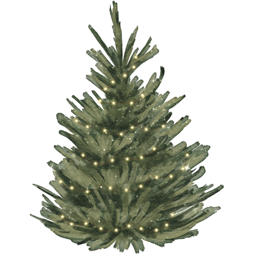 Holiday Celebrations