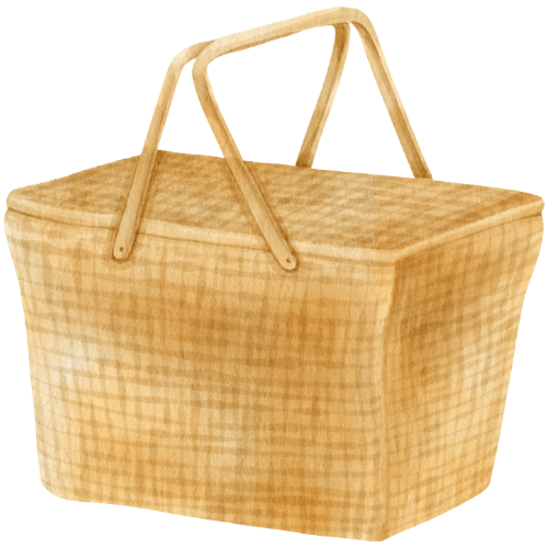 Styled Picnics